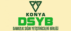 DSYB